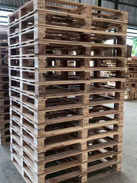 LINE_ALBUM_27169_260129_43-1