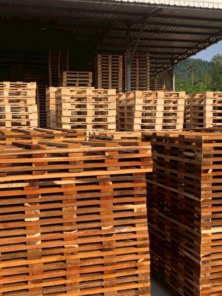 LINE_ALBUM_27169_260130_2