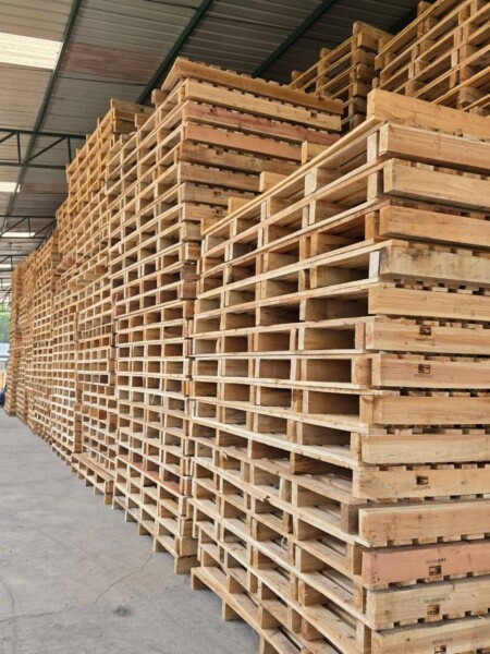 พาเลทไม้-ราคาถูก-36