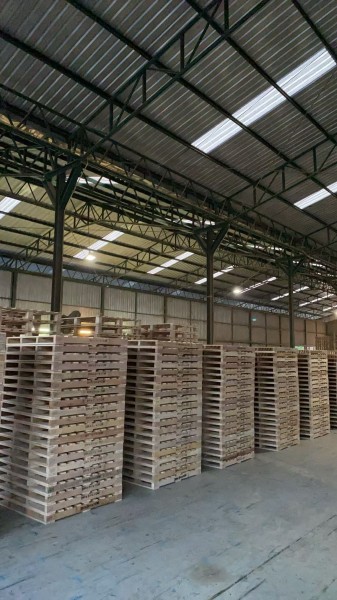 微信图片_20260125141452-3