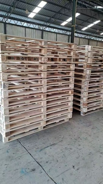 微信图片_20260125235527