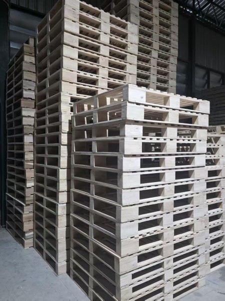 微信图片_20260128222555