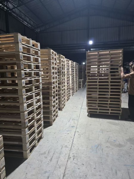 微信图片_20260128222559-2