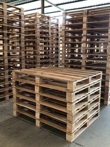 LINE_ALBUM_27169_260127_1-3