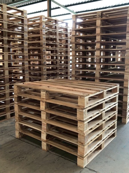 LINE_ALBUM_27169_260127_2-4