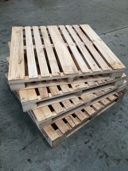 LINE_ALBUM_27169_260127_20-14