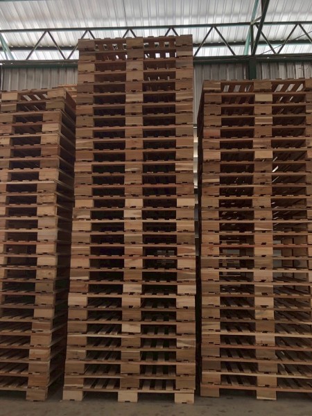 LINE_ALBUM_27169_260129_17-2