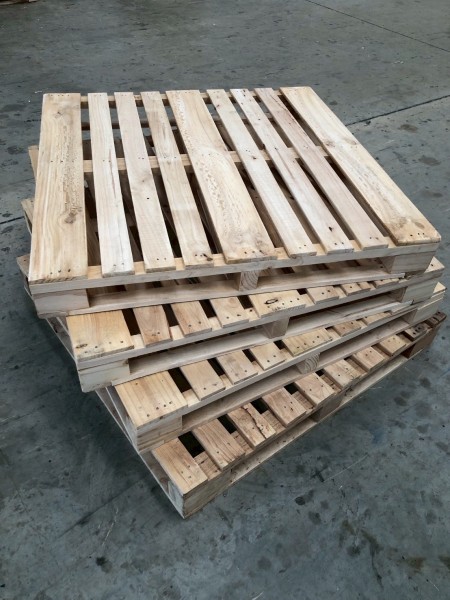 LINE_ALBUM_27169_260129_21-2