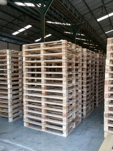 LINE_ALBUM_27169_260129_4-15