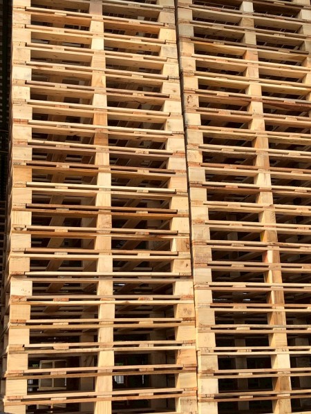 LINE_ALBUM_27169_260129_49-1