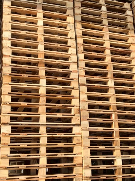 LINE_ALBUM_27169_260129_50-2