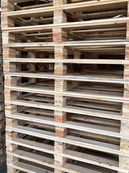 LINE_ALBUM_27169_260129_6-15