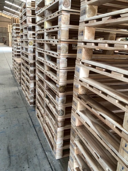 LINE_ALBUM_27169_260129_7-16