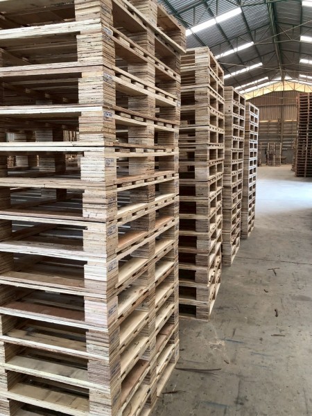 LINE_ALBUM_27169_260130_6-1