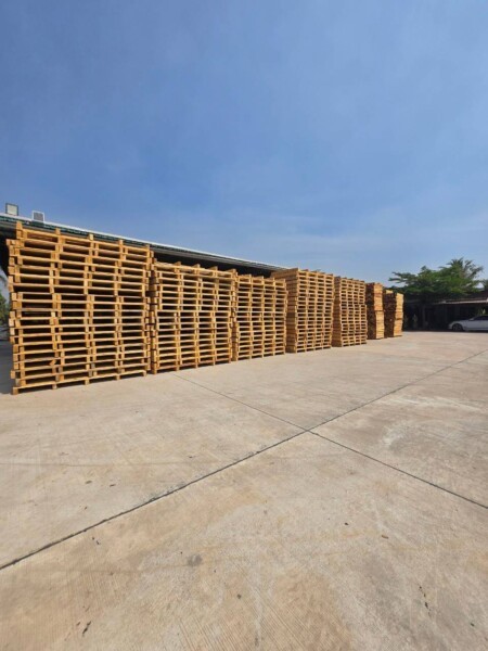 พาเลทไม้-ราคาถูก-1-5