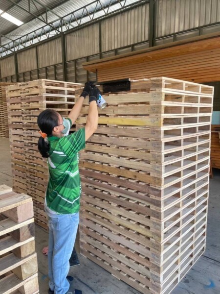 พาเลทไม้-ราคาถูก-23-6