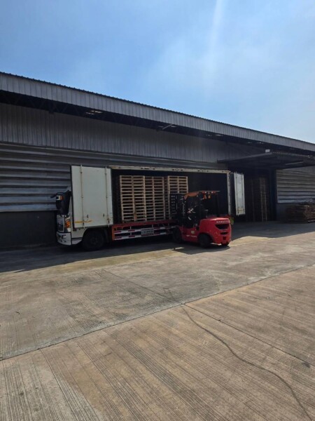 พาเลทไม้-ราคาถูก-33-1-6