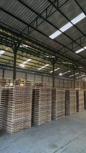 微信图片 20260125141452 1