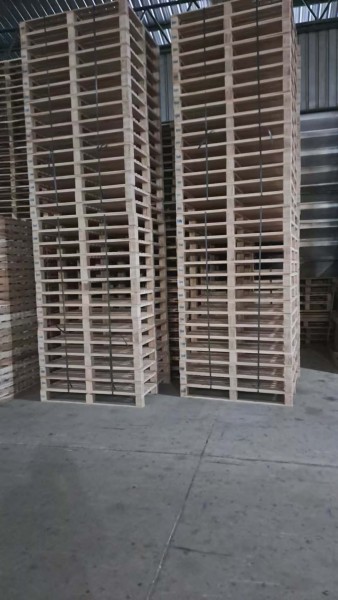 微信图片_20260126001828